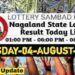 Nagaland State Lottery 4.8.2026 Today Result 1PM 6PM 8PM