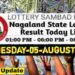 Nagaland state Lottery 05.08.2026