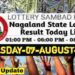 Nagaland state Lottery 06.08.2026